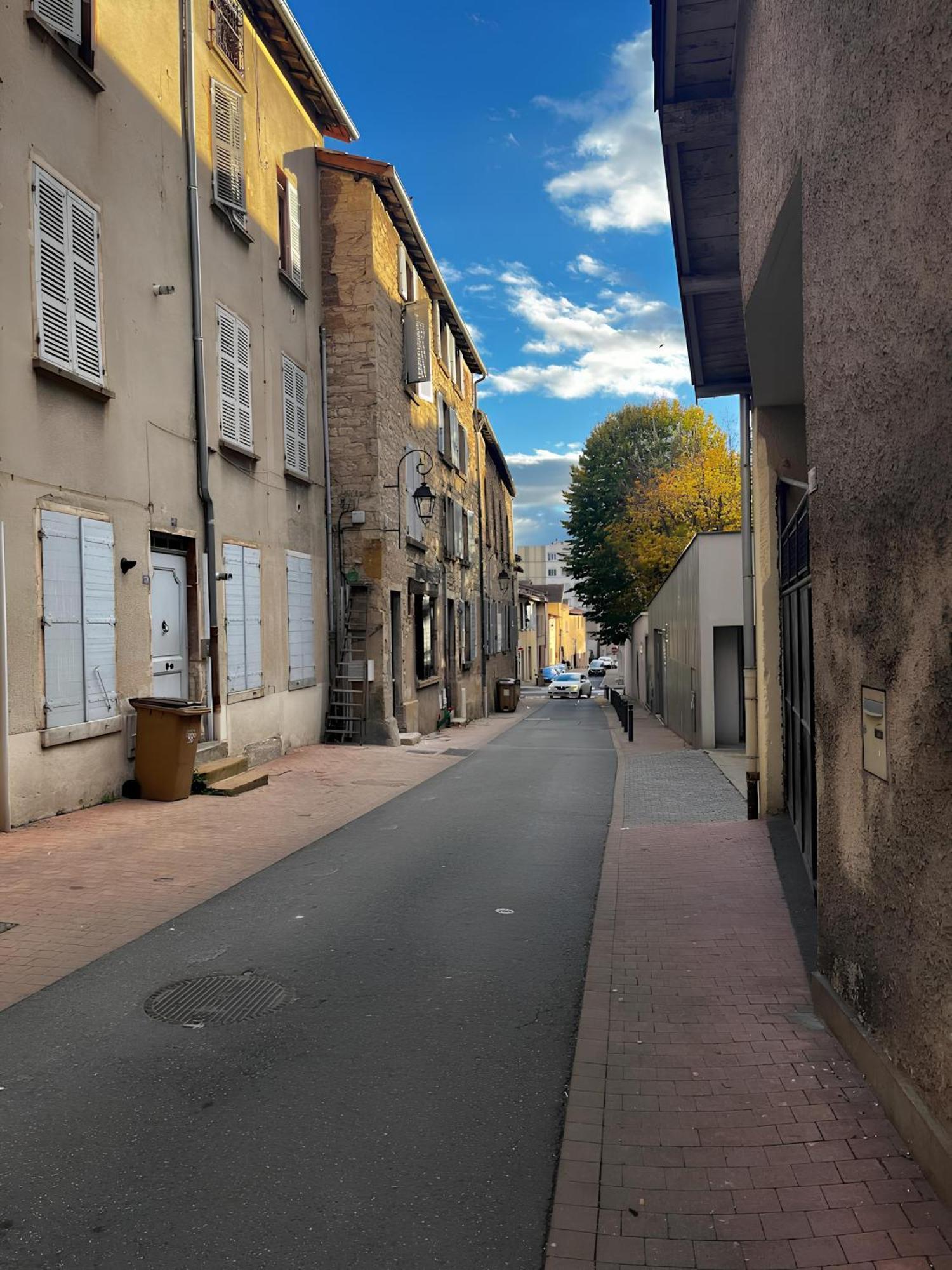 Tinyhouse Experience In Beaujolais Appartement Villefranche-sur-Saône Buitenkant foto